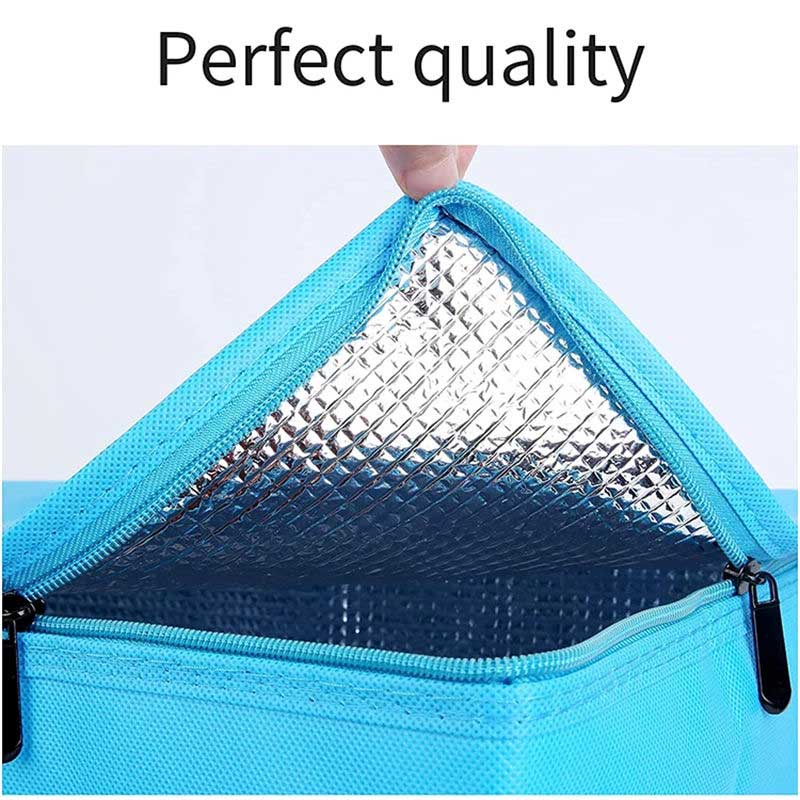 Non Woven Cooler Bag