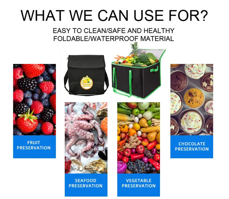 Non Woven Cooler Bag